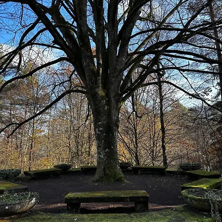 Waldparadies Mit Allem Was Sie Brauchen Σπίτι διακοπών Elmstein